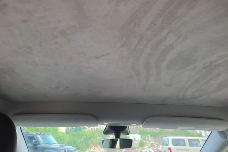 Used Tesla Model Y 2022 Revised Version Rear-Wheel Drive Headliner