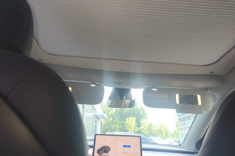 Used Tesla Model Y 2022 Rear-Wheel-Drive Version Headliner