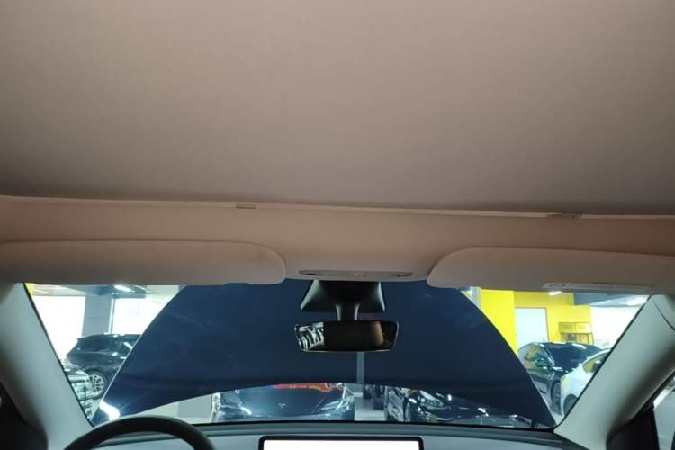 Used Tesla Model Y 2022 Rear-Wheel-Drive Version Headliner