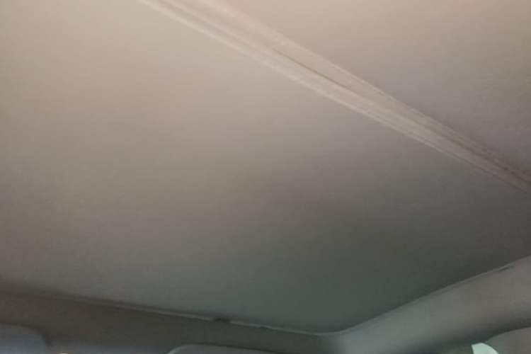 Used Tesla Model Y 2022 Revised Version Rear-Wheel Drive Headliner