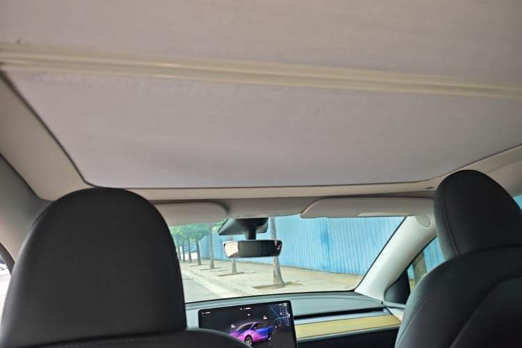 Used Tesla Model Y 2022 Rear-Wheel-Drive Version Headliner