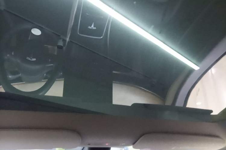 Used Tesla Model Y 2022 Long-Range All-Wheel-Drive Version Headliner