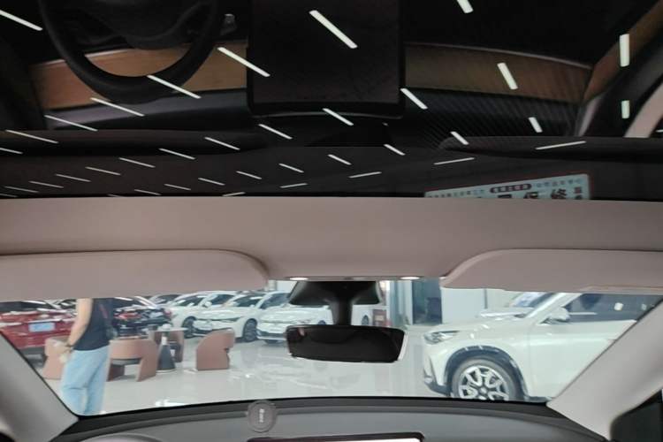 Used Tesla Model Y 2022 Rear-Wheel-Drive Version Headliner