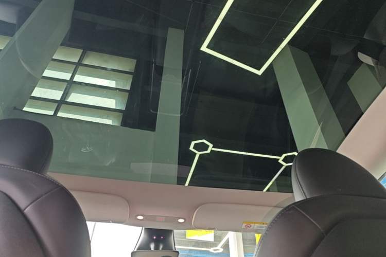 Used Tesla Model Y 2022 Rear-Wheel-Drive Version Headliner