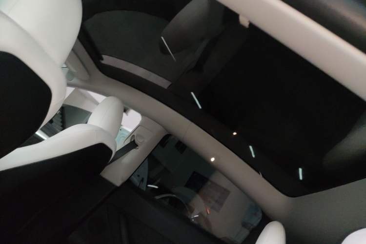 Used Tesla Model Y 2022 Revised Version Rear-Wheel Drive Headliner