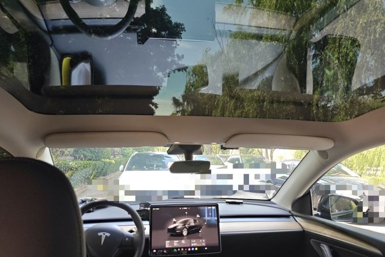 Used Tesla Model Y 2022 Rear-Wheel-Drive Version Headliner