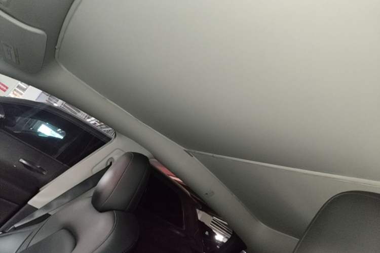 Used Tesla Model Y 2022 Rear-Wheel-Drive Version Headliner
