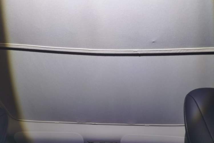 Used Tesla Model Y 2022 Rear-Wheel-Drive Version Headliner