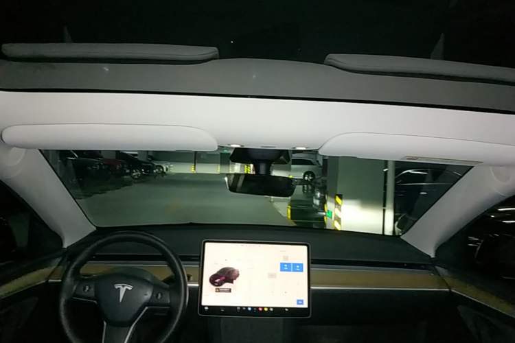Used Tesla Model Y 2022 Performance High-Performance All-Wheel-Drive Version Headliner