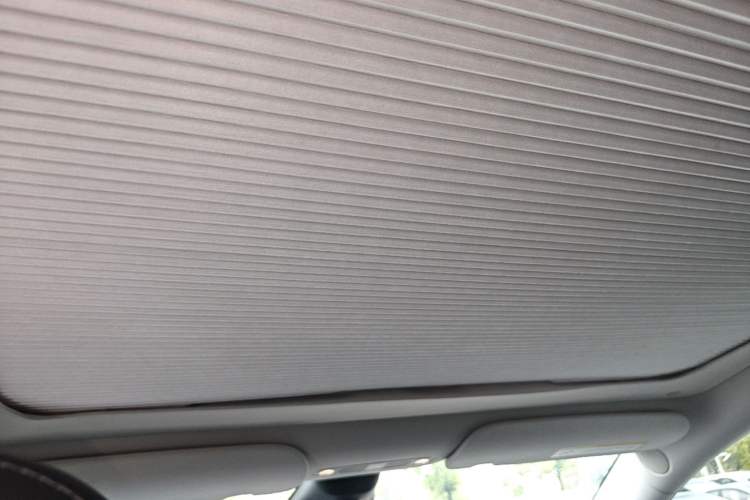 Used Tesla Model Y 2022 Performance High-Performance All-Wheel-Drive Version Headliner
