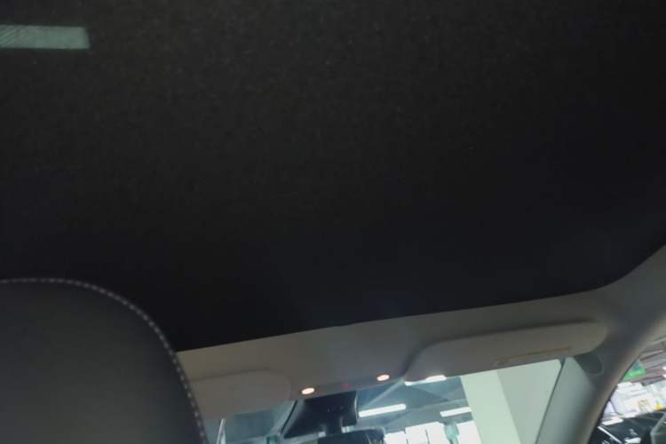 Used Tesla Model Y 2022 Rear-Wheel-Drive Version Headliner