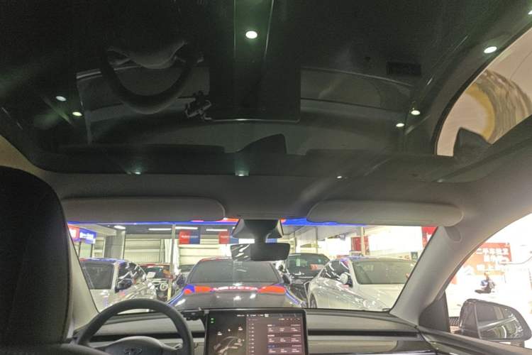 Used Tesla Model Y 2022 Long-Range All-Wheel-Drive Version Headliner
