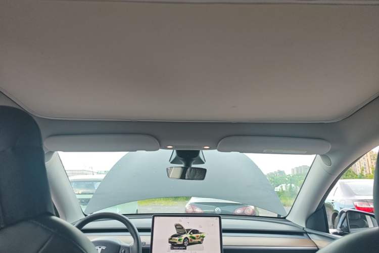 Used Tesla Model Y 2022 Performance High-Performance All-Wheel-Drive Version Headliner