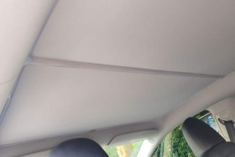 Used Tesla Model Y 2022 Long-Range All-Wheel-Drive Version Headliner