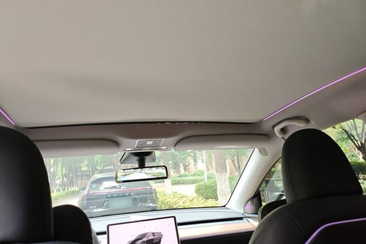 Used Tesla Model Y 2022 Performance High-Performance All-Wheel-Drive Version Headliner