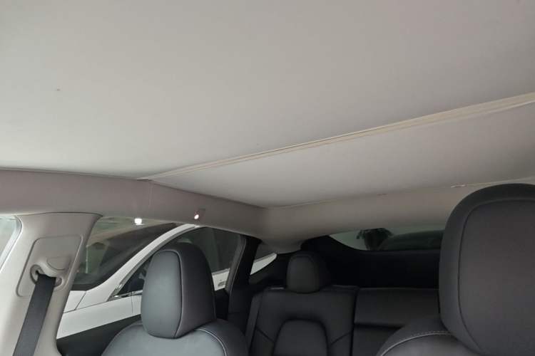 Used Tesla Model Y 2022 Revised Version Rear-Wheel Drive Headliner