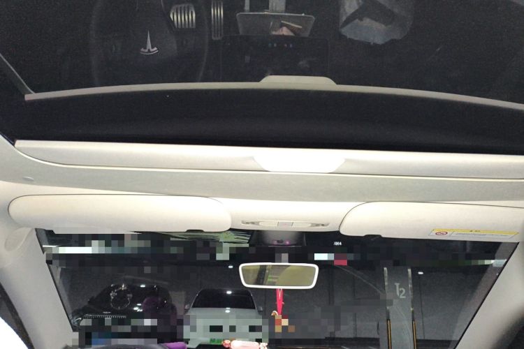 Used Tesla Model Y 2022 Performance High-Performance All-Wheel-Drive Version Headliner