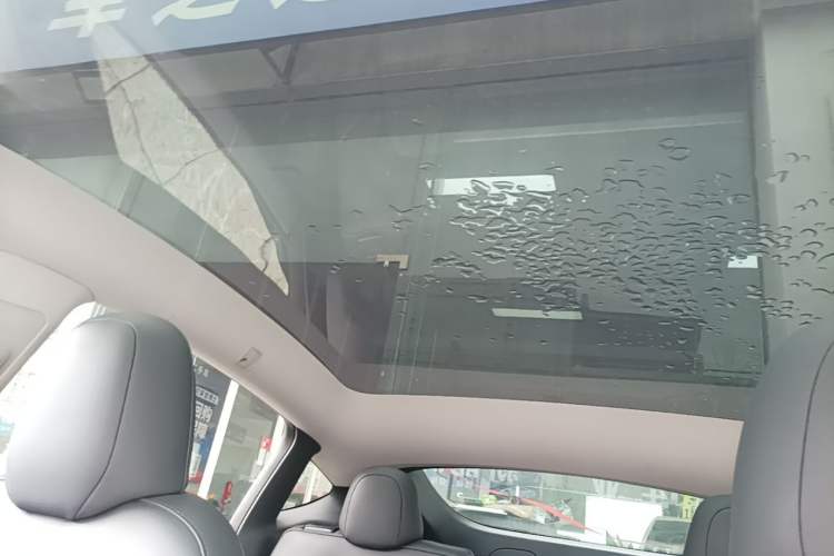 Used Tesla Model Y 2022 Long-Range All-Wheel-Drive Version Headliner