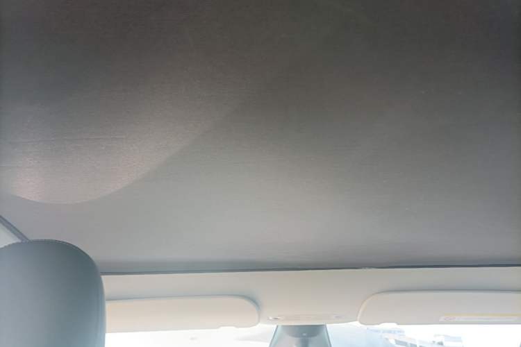 Used Tesla Model Y 2022 Revised Version Rear-Wheel Drive Headliner