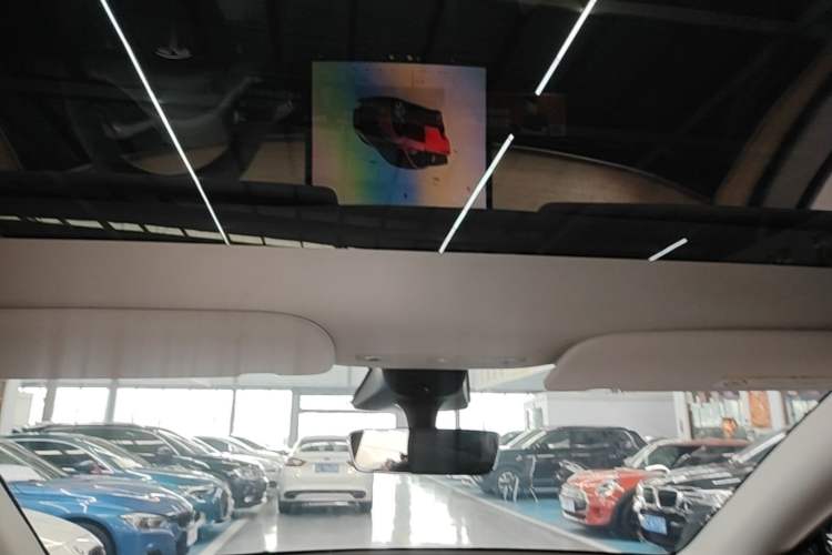 Used Tesla Model Y 2022 Rear-Wheel-Drive Version Headliner