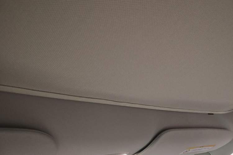 Used Tesla Model Y 2022 Rear-Wheel-Drive Version Headliner