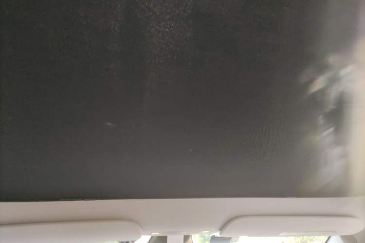 Used Tesla Model Y 2022 Rear-Wheel-Drive Version Headliner