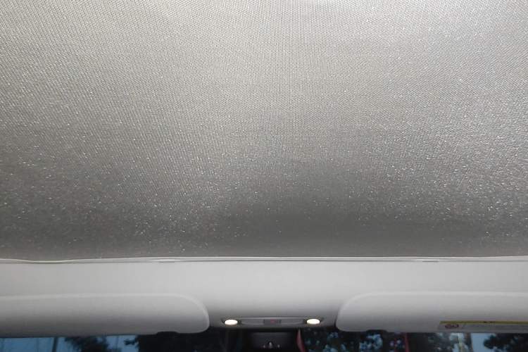 Used Tesla Model Y 2022 Revised Version Rear-Wheel Drive Headliner