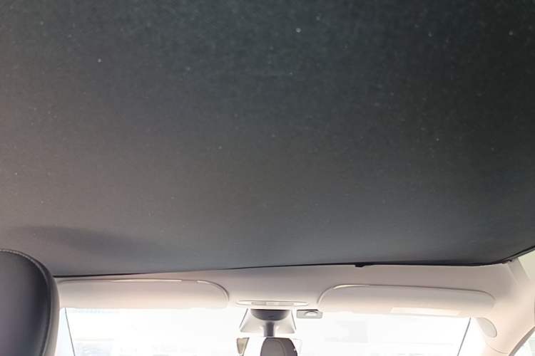 Used Tesla Model Y 2022 Performance High-Performance All-Wheel-Drive Version Headliner