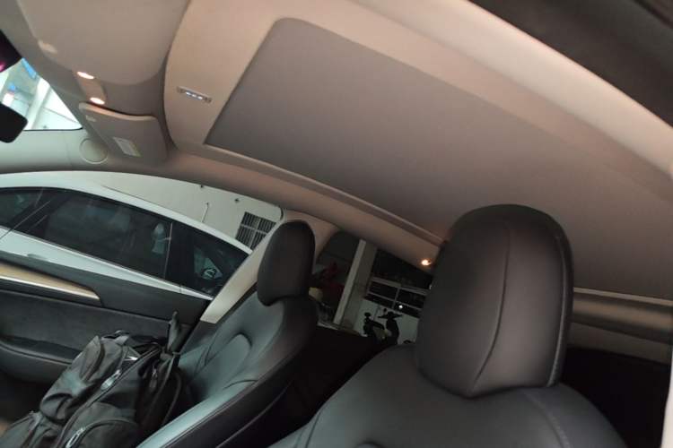 Used Tesla Model Y 2022 Long-Range All-Wheel-Drive Version Headliner