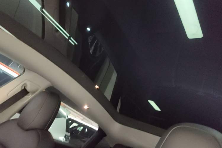 Used Tesla Model Y 2022 Rear-Wheel-Drive Version Headliner