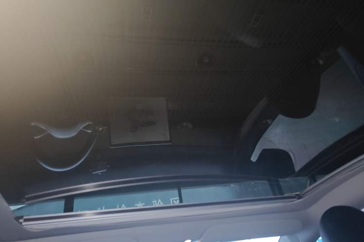 Used Tesla Model Y 2022 Rear-Wheel-Drive Version Headliner