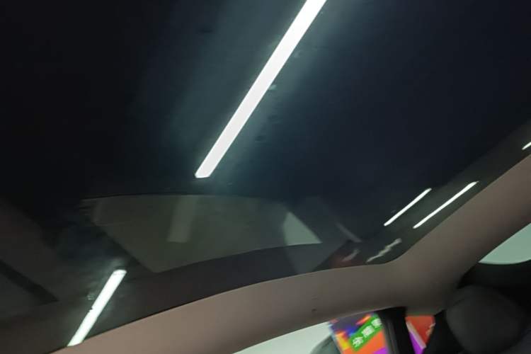 Used Tesla Model Y 2022 Rear-Wheel-Drive Version Headliner