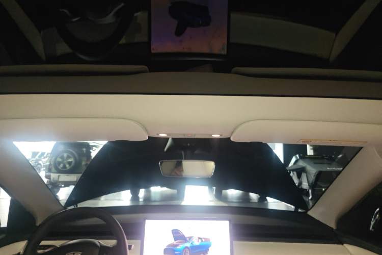 Used Tesla Model Y 2022 Long-Range All-Wheel-Drive Version Headliner
