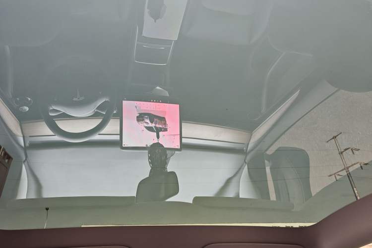 Used Tesla Model Y 2022 Rear-Wheel-Drive Version Headliner