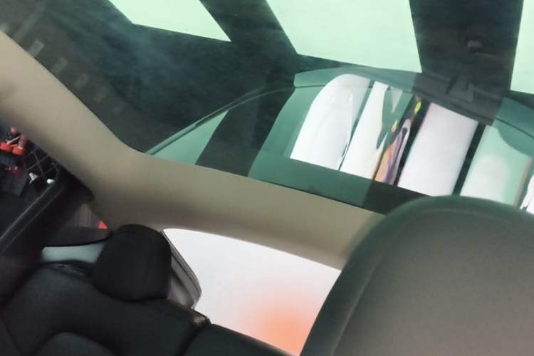 Used Tesla Model Y 2022 Rear-Wheel-Drive Version Headliner