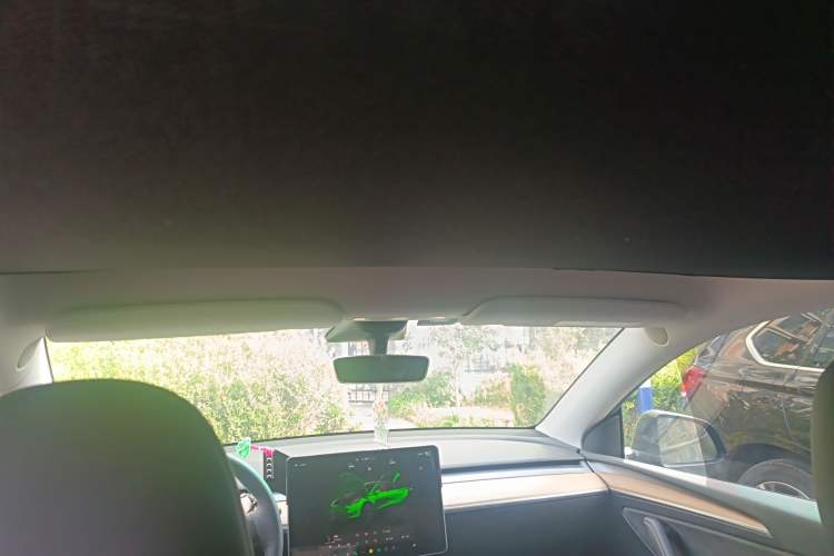 Used Tesla Model Y 2022 Rear-Wheel-Drive Version Headliner