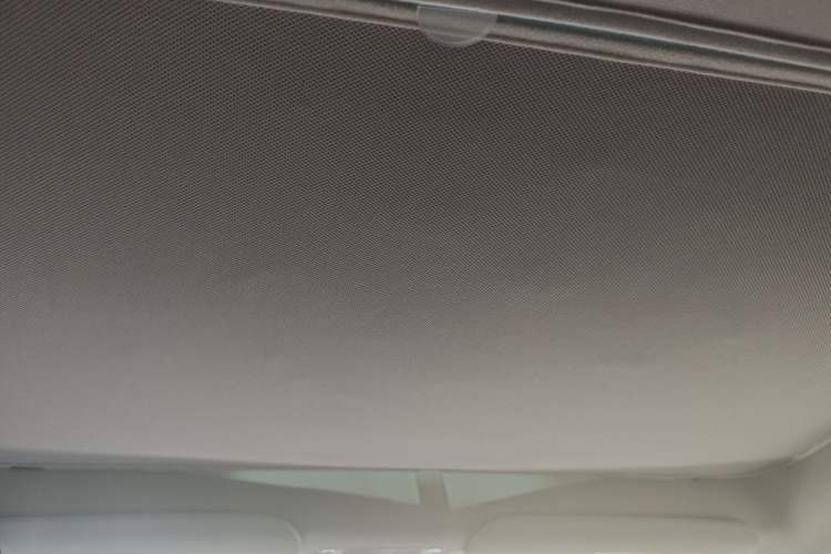 Used Tesla Model Y 2022 Rear-Wheel-Drive Version Headliner