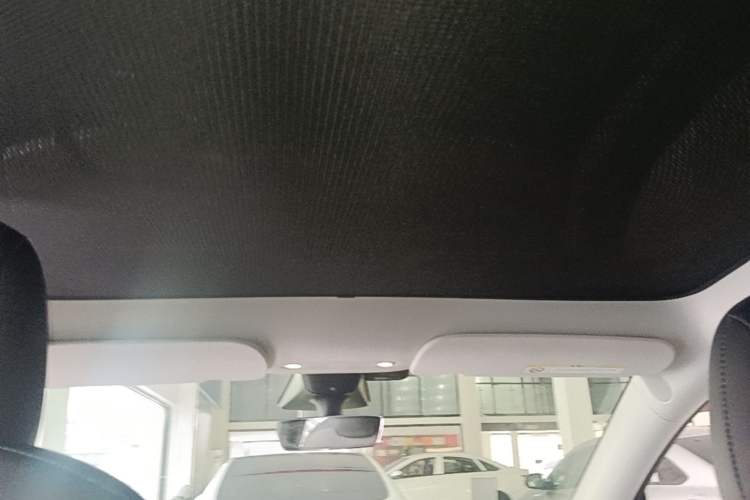 Used Tesla Model Y 2022 Rear-Wheel-Drive Version Headliner