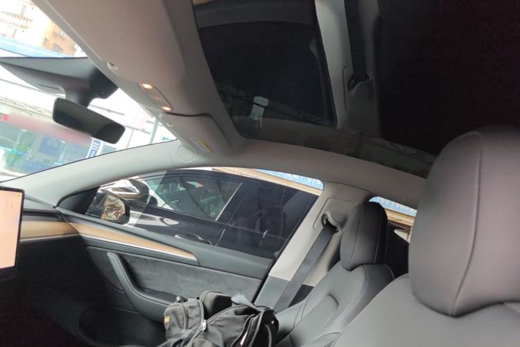 Used Tesla Model Y 2022 Long-Range All-Wheel-Drive Version Headliner