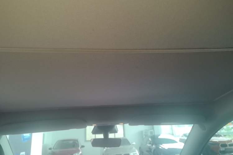 Used Tesla Model Y 2022 Revised Version Rear-Wheel Drive Headliner
