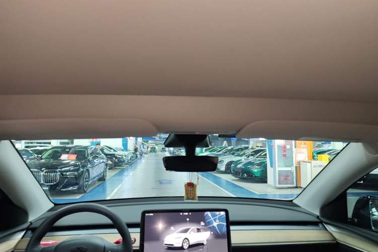 Used Tesla Model Y 2022 Revised Version Rear-Wheel Drive Headliner