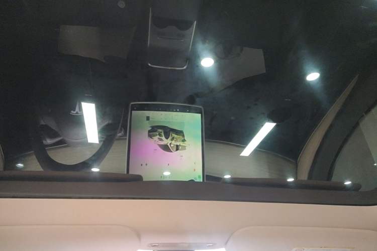 Used Tesla Model Y 2022 Revised Version Rear-Wheel Drive Headliner