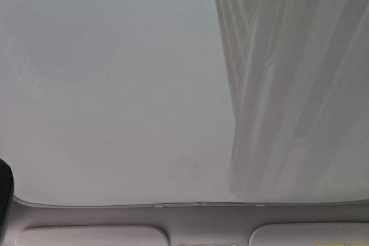 Used Tesla Model Y 2022 Rear-Wheel-Drive Version Headliner