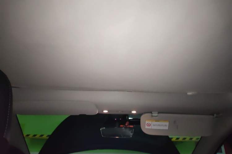 Used Tesla Model Y 2022 Long-Range All-Wheel-Drive Version Headliner