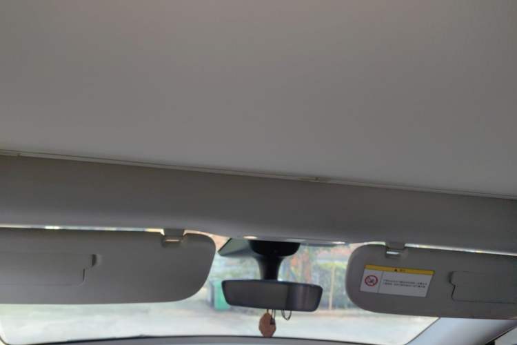 Used Tesla Model Y 2022 Rear-Wheel-Drive Version Headliner