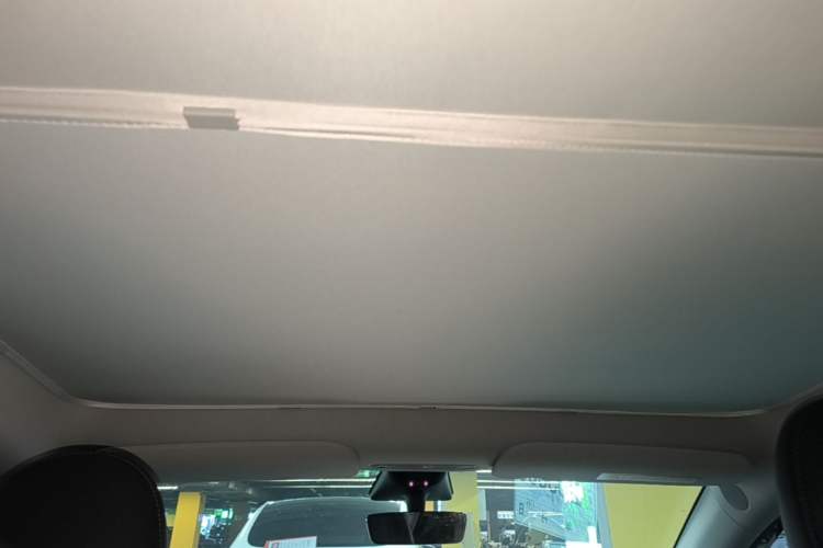Used Tesla Model Y 2022 Rear-Wheel-Drive Version Headliner