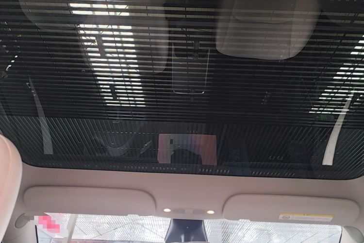Used Tesla Model Y 2022 Rear-Wheel-Drive Version Headliner