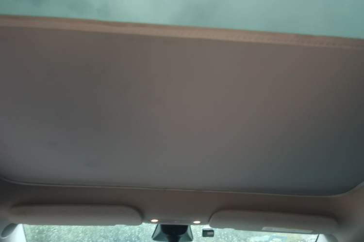 Used Tesla Model Y 2022 Long-Range All-Wheel-Drive Version Headliner