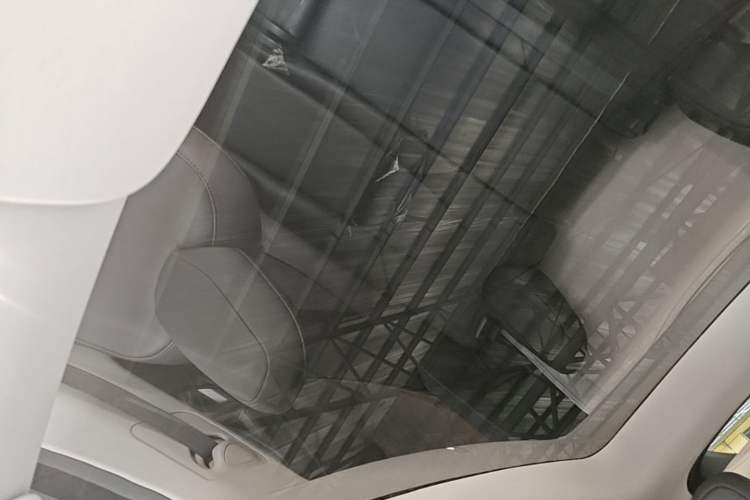 Used Tesla Model Y 2022 Rear-Wheel-Drive Version Headliner