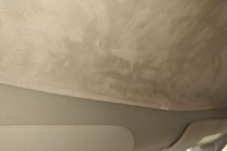 Used Tesla Model Y 2022 Rear-Wheel-Drive Version Headliner